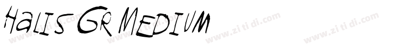 Halis GR Medium字体转换
